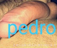 ⭐️Pedro dotado com local⭐️ - 3