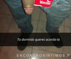 Apenas sexo sem compromisso - 2