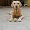 Carlos Martins