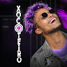 O Xocoteiro
