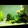 katiafilipa venancio