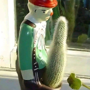 pedro