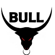 Diogo Bull