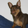 Ricardo