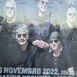 Fernando Manuel Moreira Ribeiro