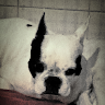 Tiago